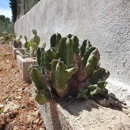 Casa Estela Holiday home *